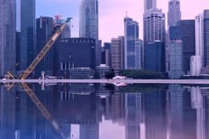 小猪也能预测世界杯？世界杯小猪