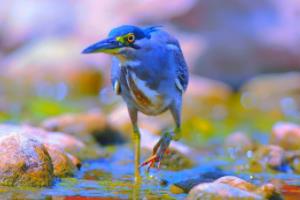 世界杯必备，激情与实用并存的装备指南世界杯必备